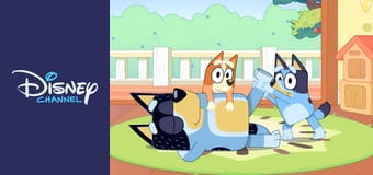 Bluey E114 - Birtya Bluey E114 - Birtya