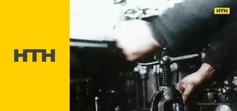 "Випадковий свідок".