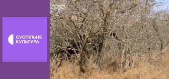 Д/с "Суперздібності тварин". "Дотик".