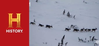 Необъяснимое с Уильямом Шетнером, 14 эп. Загадочные камни. Необъяснимое с Уильямом Шетнером, 14 эп. Загадочные камни.