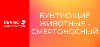 Бунтующие животные - Смертоносный гриб-зомби