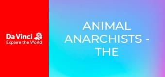 Animal Anarchists - The Inhabitants of Cheese