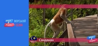 Морской сезон 2 - Выпуск 6 - Сандакан