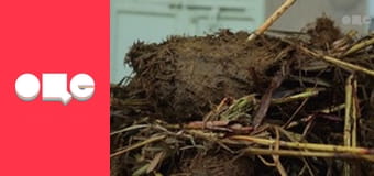 Особливості національної роботи, 1 сезон, 3 еп.