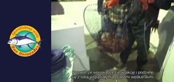 Sea Wolf, part 1 Sea Wolf, part 1