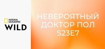 Невероятный доктор Пол S23E7