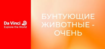 Бунтующие животные - Очень красивая ловушка для насекомых Бунтующие животные - Очень красивая ловушка для насекомых