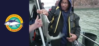 New Huck Finn - Striped Bass New Huck Finn - Striped Bass