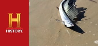 Доказательство где-то рядом, 3 сезон, 9 эп. НЛО в Панаме, кровавое море и гибель тургруппы Дятлова.