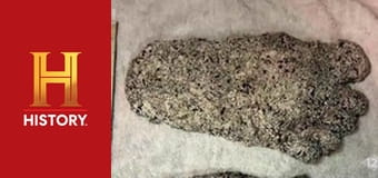 Древние пришельцы, 16 сезон, 2 эп. Невероятные существа: Первая десятка.