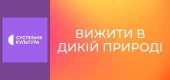 Д/с "Вижити в дикій природі", 5 і 6 с.