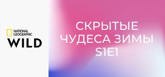 Скрытые чудеса зимы S1E1 - Морозные рубежи Америки