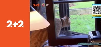 Загублений світ