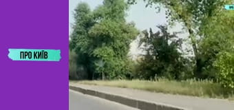 Кафе "Пінгвін" на Куренівці. Історія створення та сьогодення. Культові місця Києва #1.