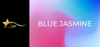 Blue Jasmine Blue Jasmine