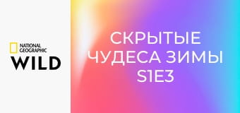 Скрытые чудеса зимы S1E3 - Ледяной мир Европы