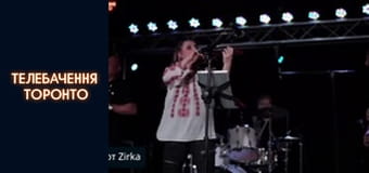 НЕ ЛИШЕ КВІТКА ЦІСИК: рок, фанк, панк та електронщина української діаспори