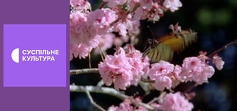 Д/с "Суперздібності тварин". "Надлюдські чуття".