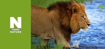 Безкрайня Африка - Болота Окаванго