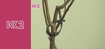 Шість соток S2E3