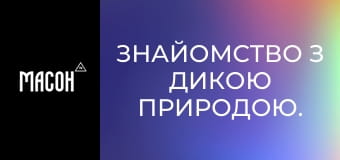 Знайомство з дикою природою. Генети звичайні. Непомітні нічні хижаки. Знайомство з дикою природою. Генети звичайні. Непомітні нічні хижаки.