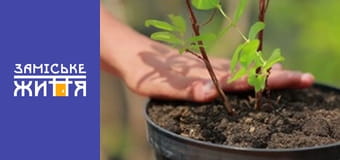 "Дачники" сезон 2 серия 17 "Дачники" сезон 2 серия 17