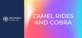 Prechádzky na ťavách a zápasy kobra vs. mangusta. Pakistan. Prechádzky na ťavách a zápasy kobra vs. mangusta. Pakistan.