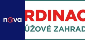 Ordinace v růžové zahradě 2 S2E516 - Jsem tady pro tebe Ordinace v růžové zahradě 2 S2E516 - Jsem tady pro tebe