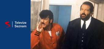 Kočka a pes Kočka a pes