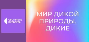 Д/с "Мир дикой природы. Дикие животные". "Остров Мадагаскар".
