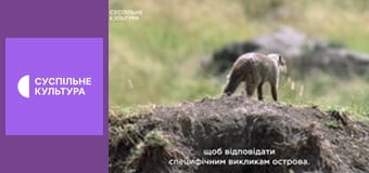 Д/с "Світ дикої природи. Дикі тварини". "Острів Мадагаскар".