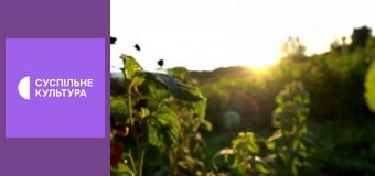 Гимн Украины.