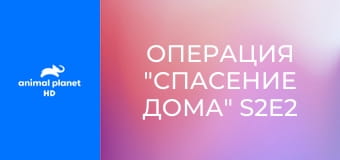 Операция "Спасение дома" S2E2 - Отравленная земля