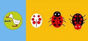 Forms Are Yours - Basic shapes I. - The Ladybugs