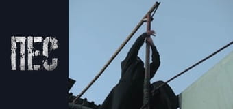 Пес, Сезон 6, Серія 13