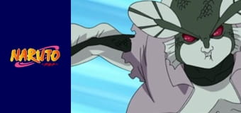 Naruto Season 1 Episode 173