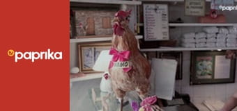 Italské chutě podle Davida Rocca S1E7 - Janov, město mořských vlků Italské chutě podle Davida Rocca S1E7 - Janov, město mořských vlků