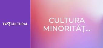Cultura minorităţilor Cultura minorităţilor