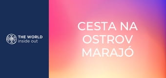 Cesta na ostrov Marajó a lov mangrovových krabov. Brazília. Cesta na ostrov Marajó a lov mangrovových krabov. Brazília.