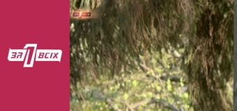 Помста вітчима. Частина 1 Помста вітчима. Частина 1