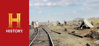 Необъяснимое с Уильямом Шетнером, 47 эп. Серийные убийцы в мире животных.