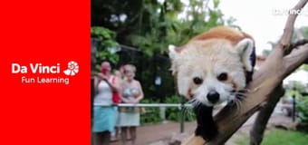 Animal Embassy - A Day in the Life of Rafa