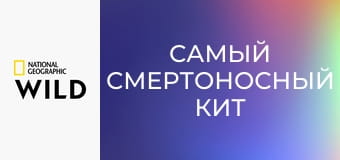 Самый смертоносный кит