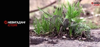 Невигадані історії. Східний фронт.