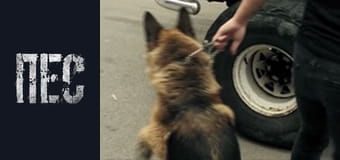 Dog, Season 4, Episode 12