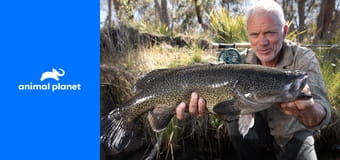 Джереми Уэйд: тёмные воды S1E6 - Баррамунди