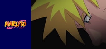 Naruto Season 1 Episode 195