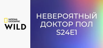 Невероятный доктор Пол S24E1