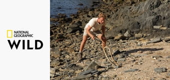 В неизвестность с Джеком Рэнделлом S1E5 - Самые ядовитые змеи в мире