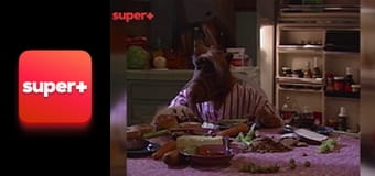 Т/с "Альф", 3 сезон, 10 с.